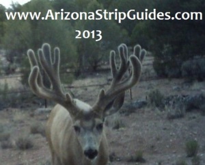 Arizona Strip Guides